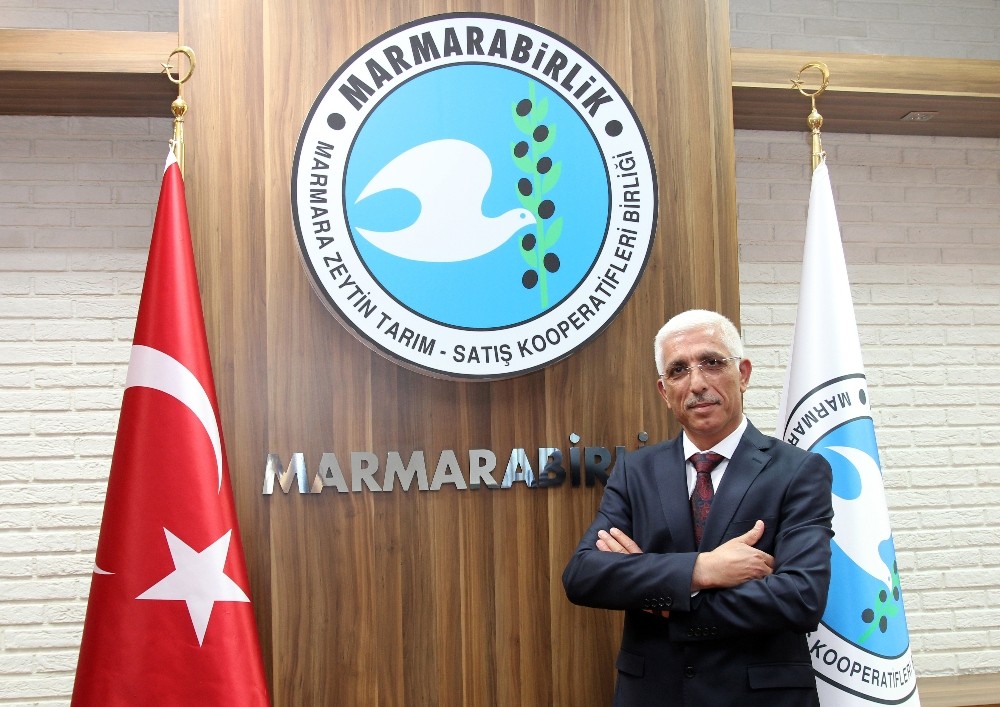 Marmarabirlikten Zeytinlik Çağrısı