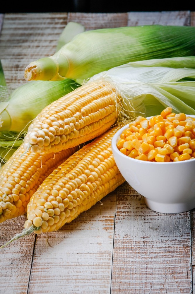 May Tohumdan Türkiyenin En Tatlı Mısır Çeşitleri