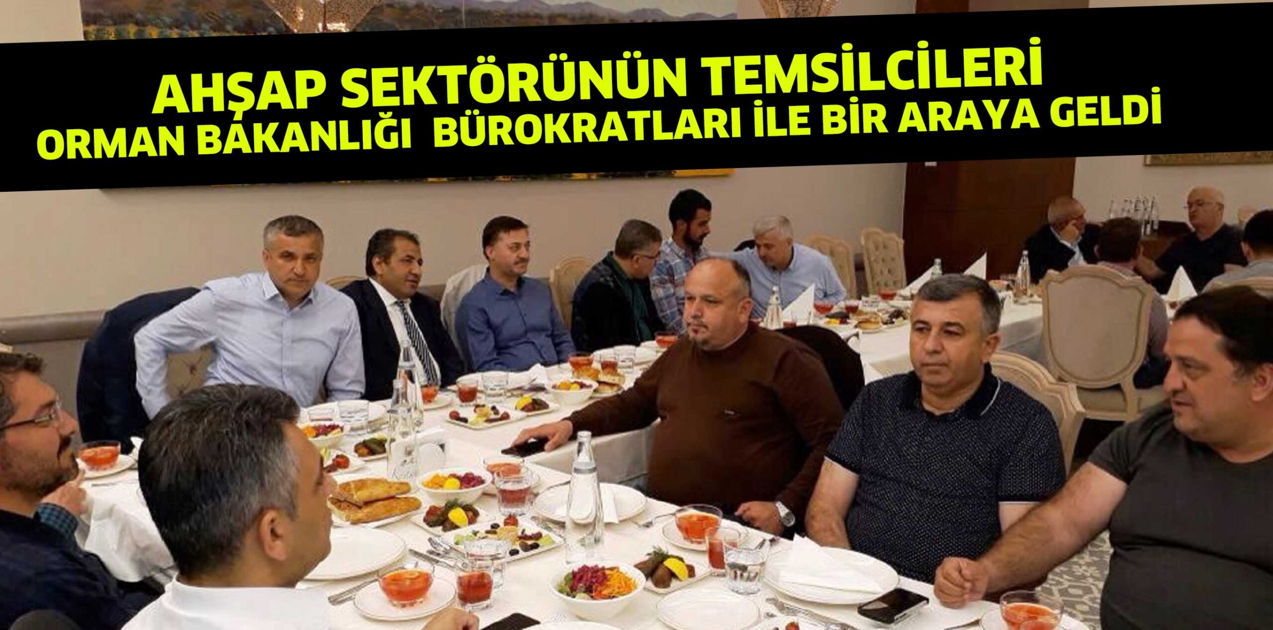 AHŞAP SEKTÖRÜNÜN TEMSİLCİLERİ  ORMAN BAKANLIĞI  BÜROKRATLARI İLE BİR ARAYA GELDİ