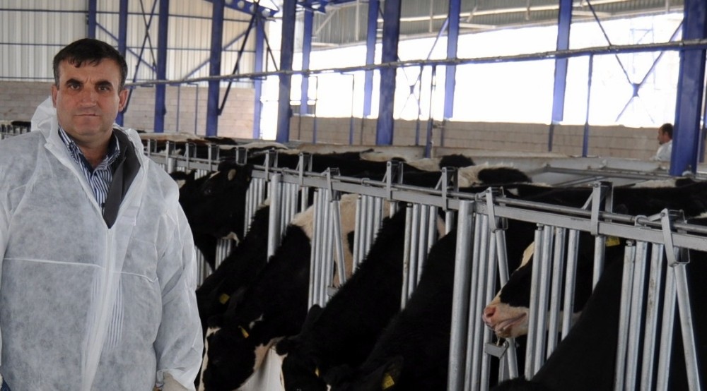 Üretici Düşük Süt Fiyatlarından Dolayı İneklerini Kestirmeye Başladı