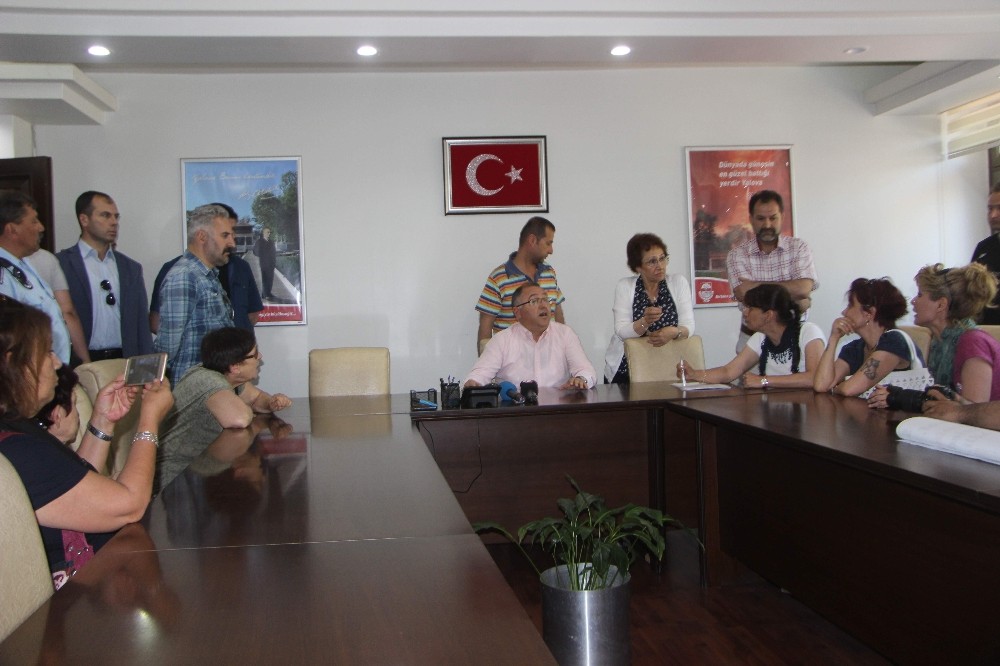 Yalovada Köpeklerin Zehirlendiği İddiası Hayvan Severleri Harekete Geçirdi