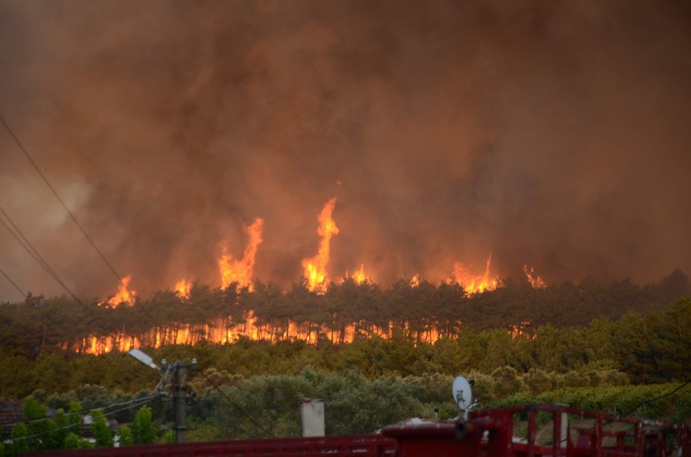 Yaz Geldi Orman Yangınları Başladı