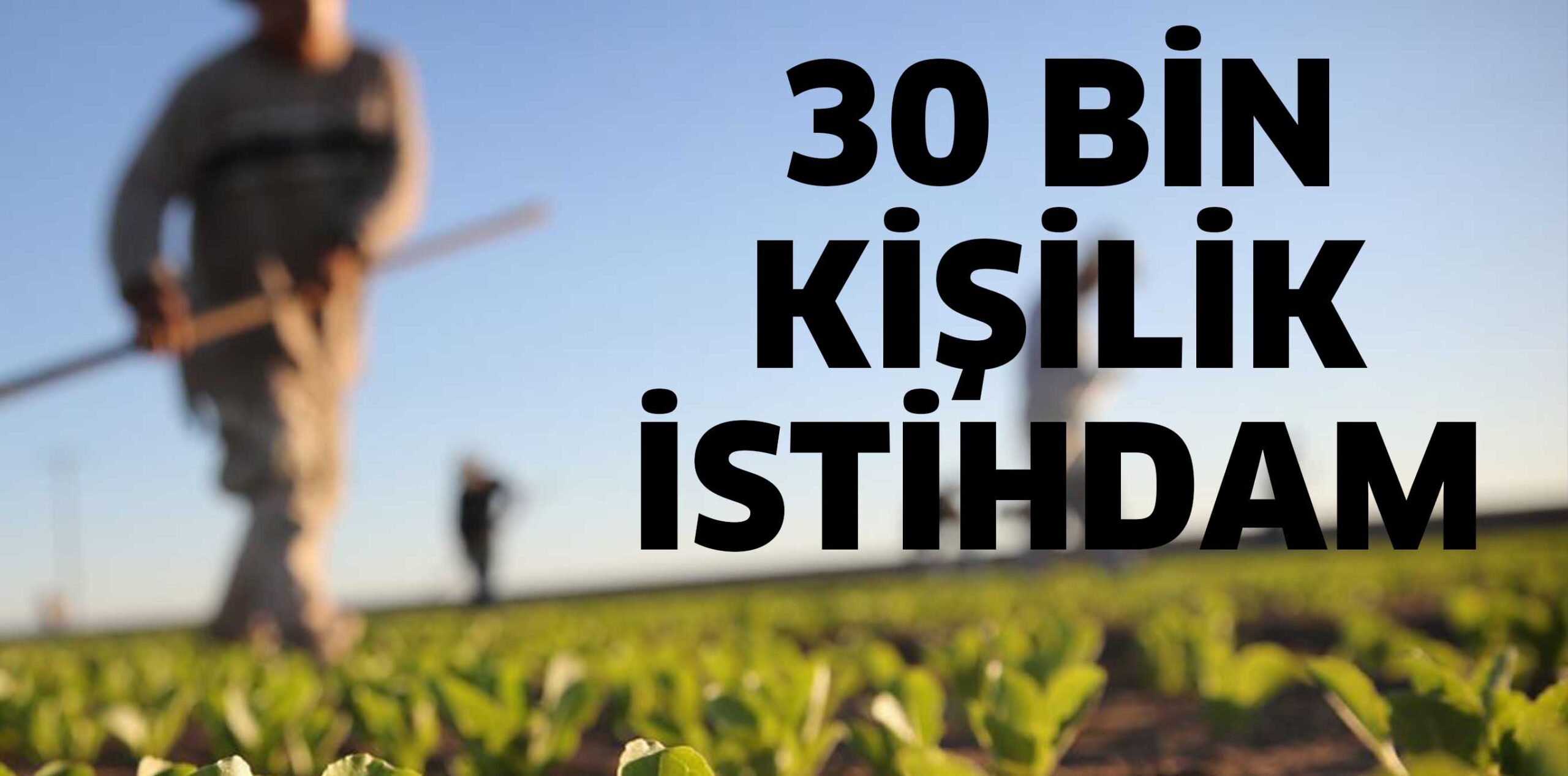 TARIMDA 30 BİN KİŞİLİK  İSTİHDAM