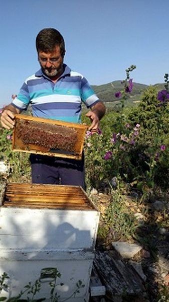 Bursada Bal Bereketi