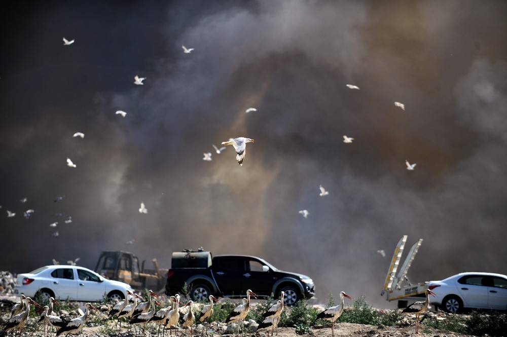 Bursada Katı Atık Depolama Alanındaki Yangında 5 Hektarlık Alan Zarar Gördü