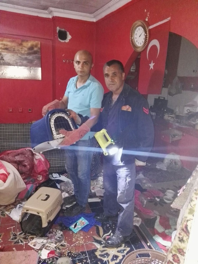 Bursada Kedi Kurtarma Operasyonu