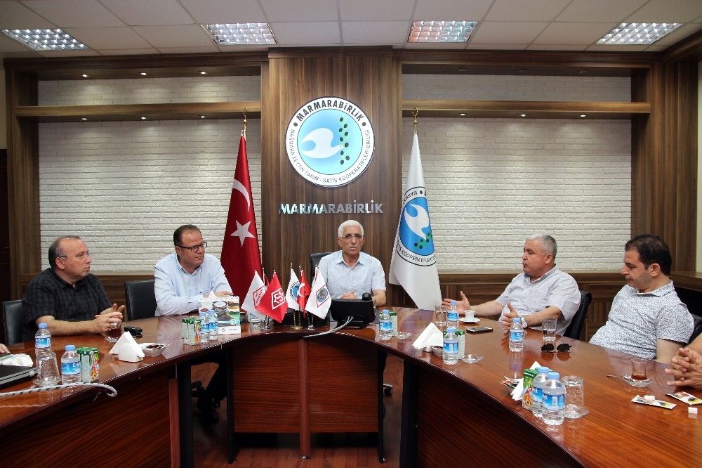 Ezzibten Marmarabirlike Ziyaret