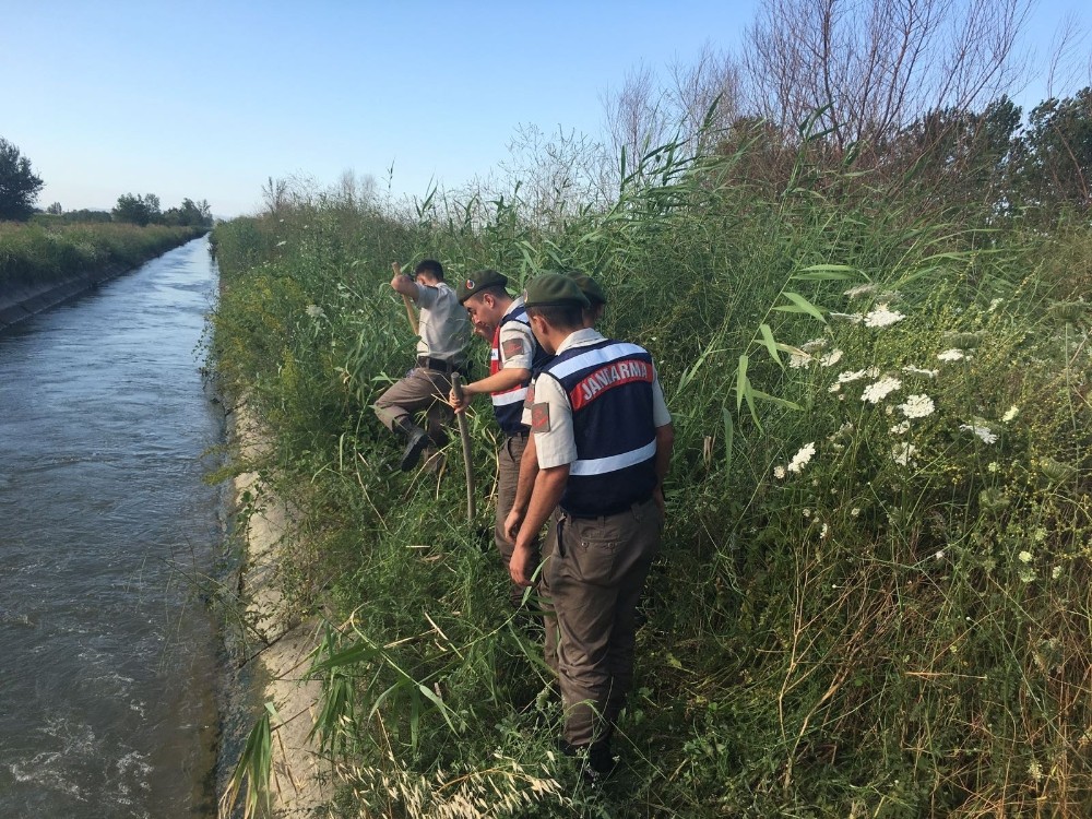 Kanalboyunda Uyuşturucu Operasyonu