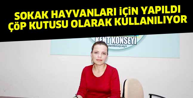 SOKAK HAYVANLARI iÇiN YAPILDI ÇöP KUTUSU OLARAK KULLANILIYOR