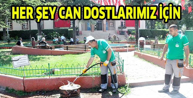 HER ŞEY CAN DOSTLARIMIZ İÇİN
