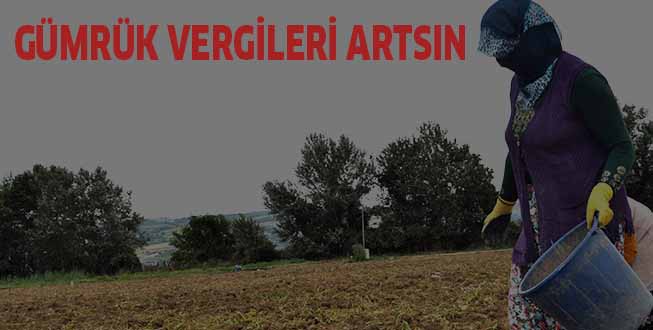 GÜMRÜK VERGİLERİ ARTSIN