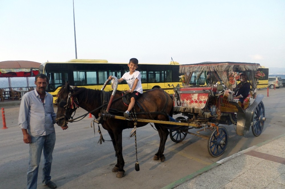 Mudanyalı Minikler Faytonla Eğlendi