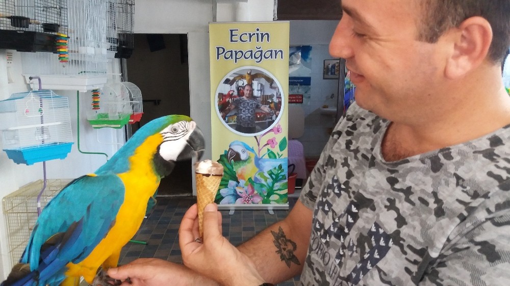 (Özel Haber) Papağanlara Dondurmalı Serinlik