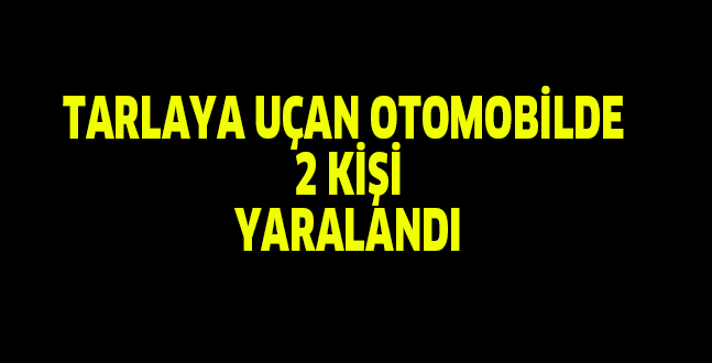 TARLAYA UÇAN OTOMOBİLDE  2 KİŞİ YARALANDI