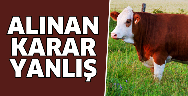 ALINAN KARAR YANLIŞ