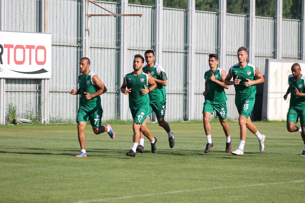 Timsah Djikudan Vazgeçti