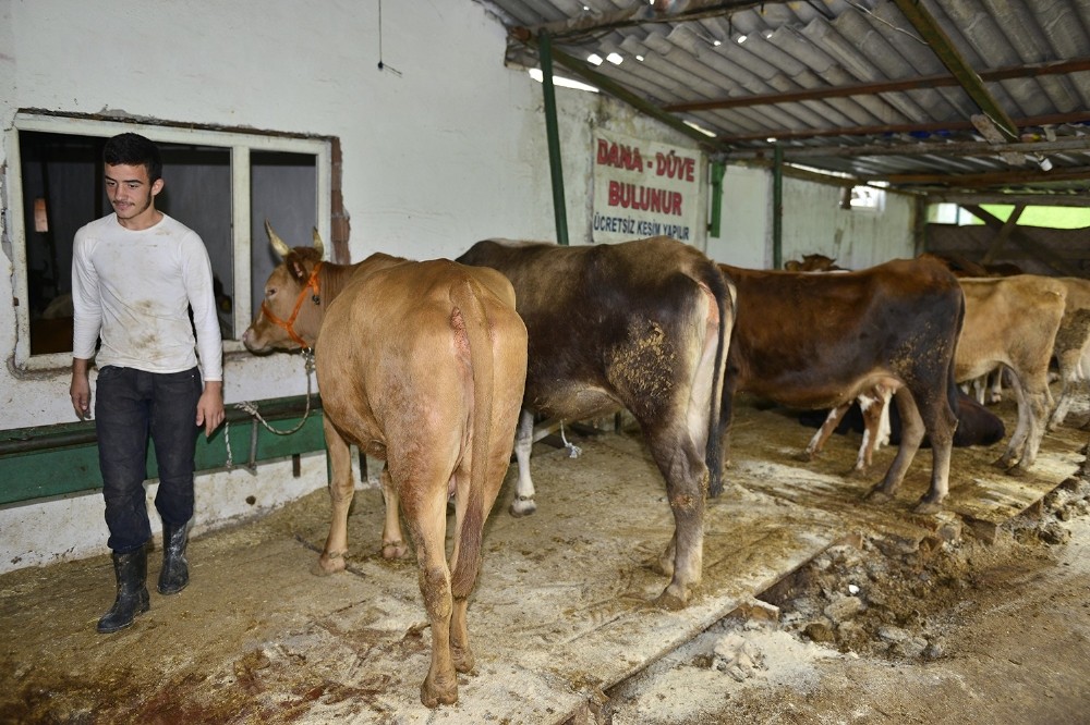 Yıldırımda ‘Sertifikalı Kurban Kesim Kursu