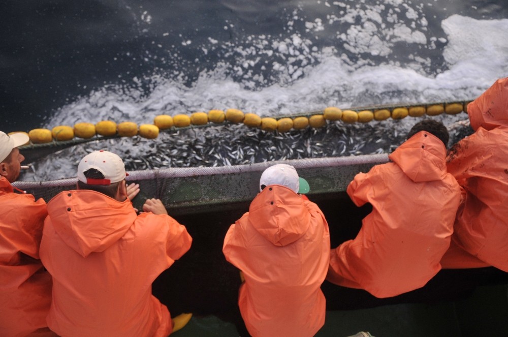 Av Yasağı Sona Eriyor