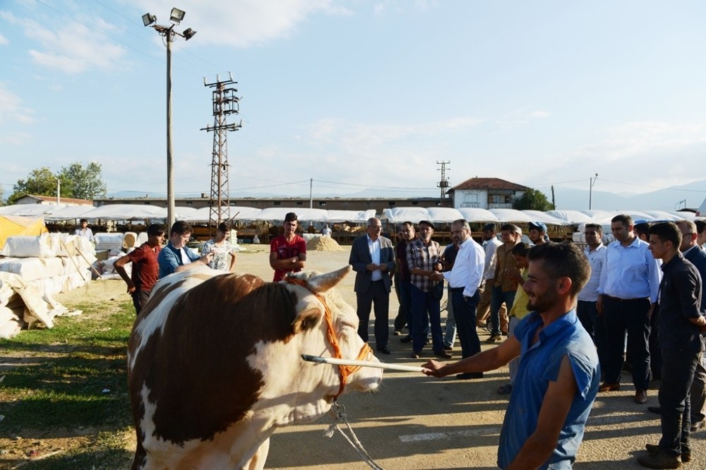 Bölgenin En Büyük Hayvan Pazarında Hareketlilik Başladı