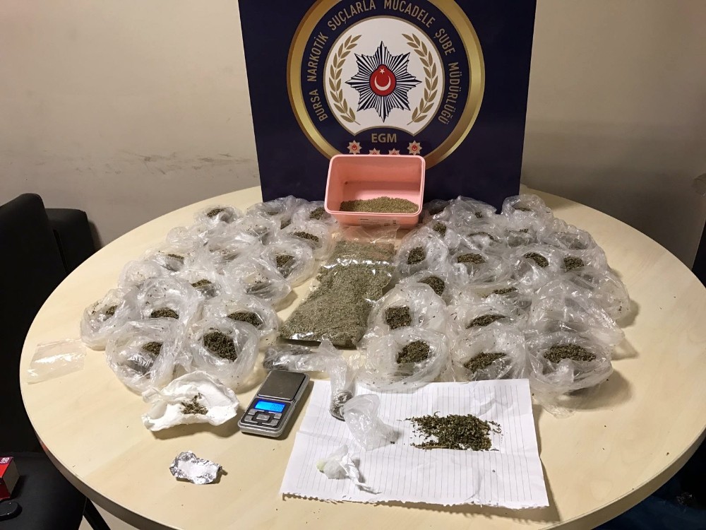 Bursada 1 Kilo Bonzai Ele Geçirildi