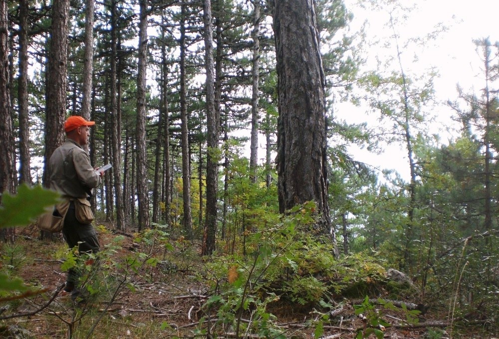 Bursada Av Yasağı Kalkıyor