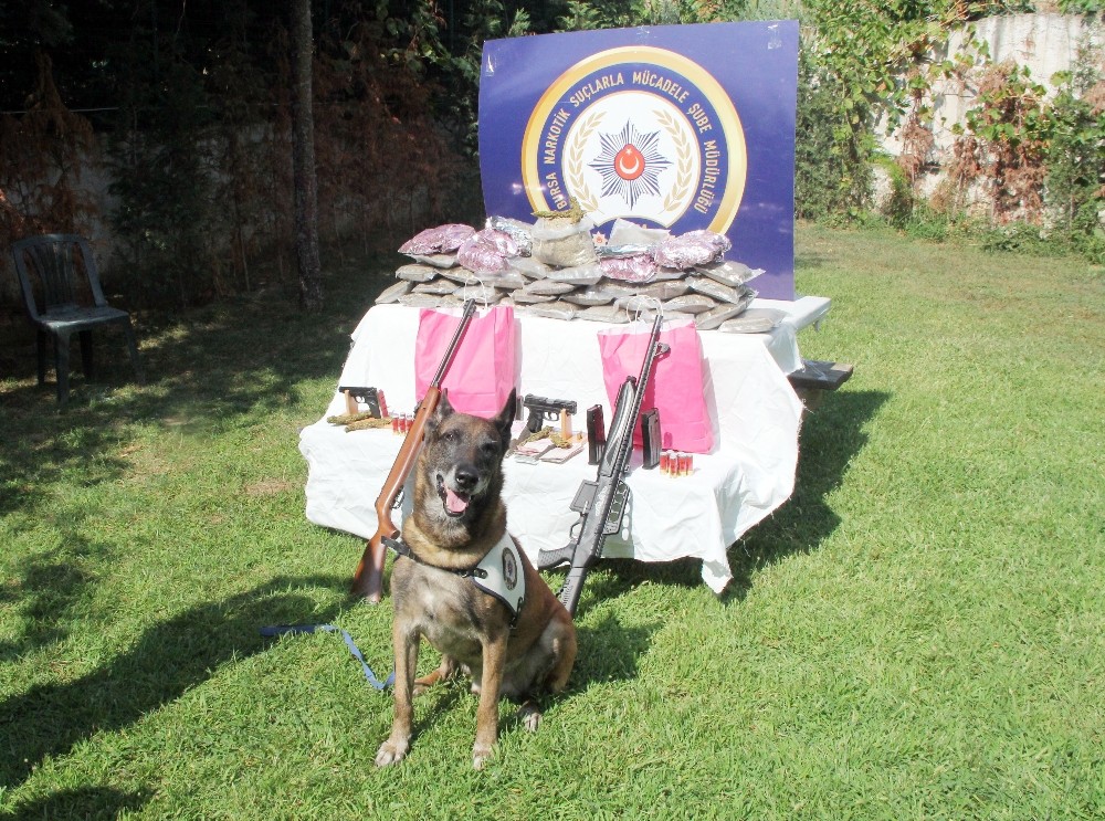 Bursadaki Uyuşturucu Operasyonunda 13 Tutuklama