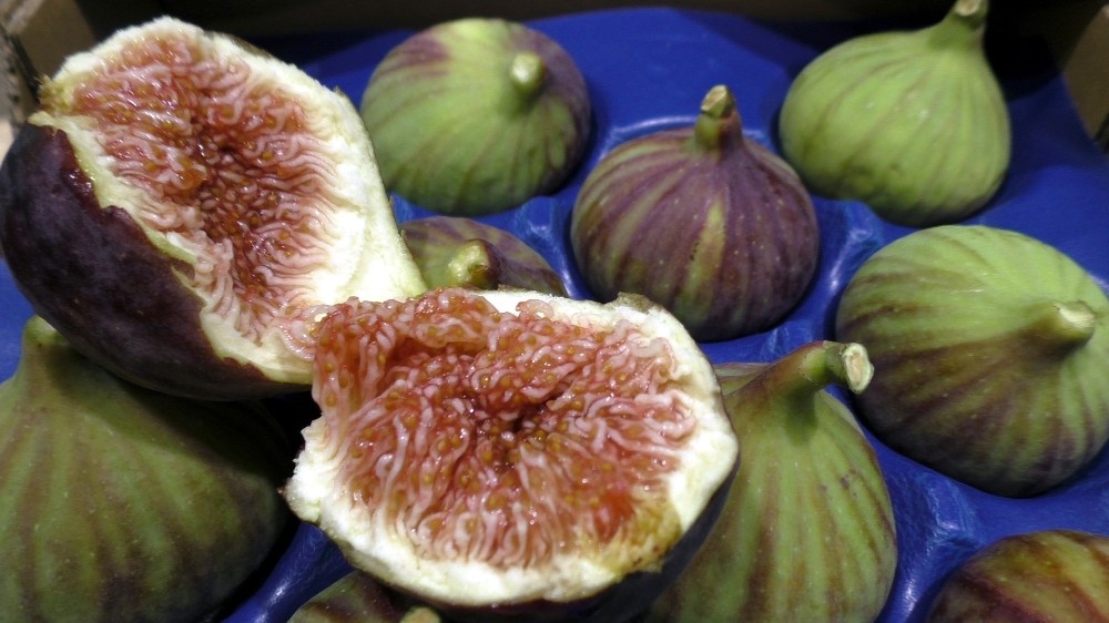 Bursanın Siyah İncirinin İhracatı 7 Liradan Başlıyor