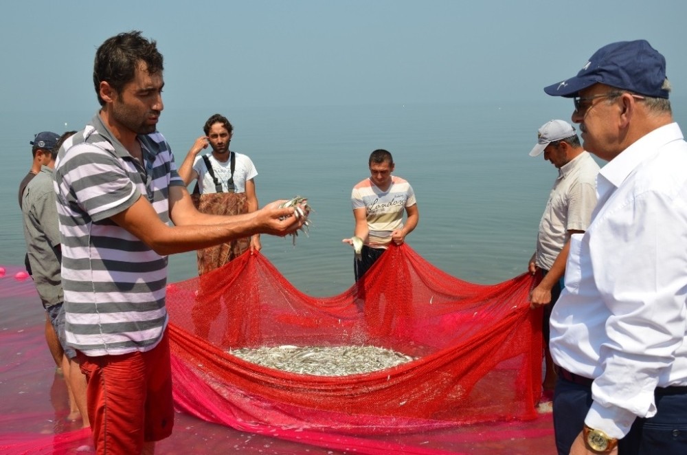 İznik Gümüş Balığı Avrupanın Bir Numarası