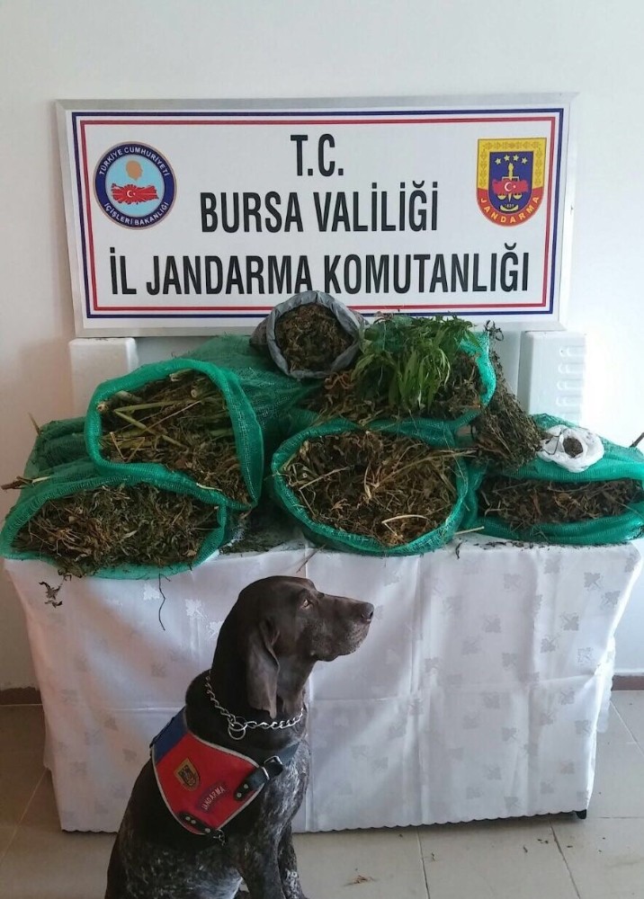 Jandarma Ve Polis Ekiplerinden Şok Baskın