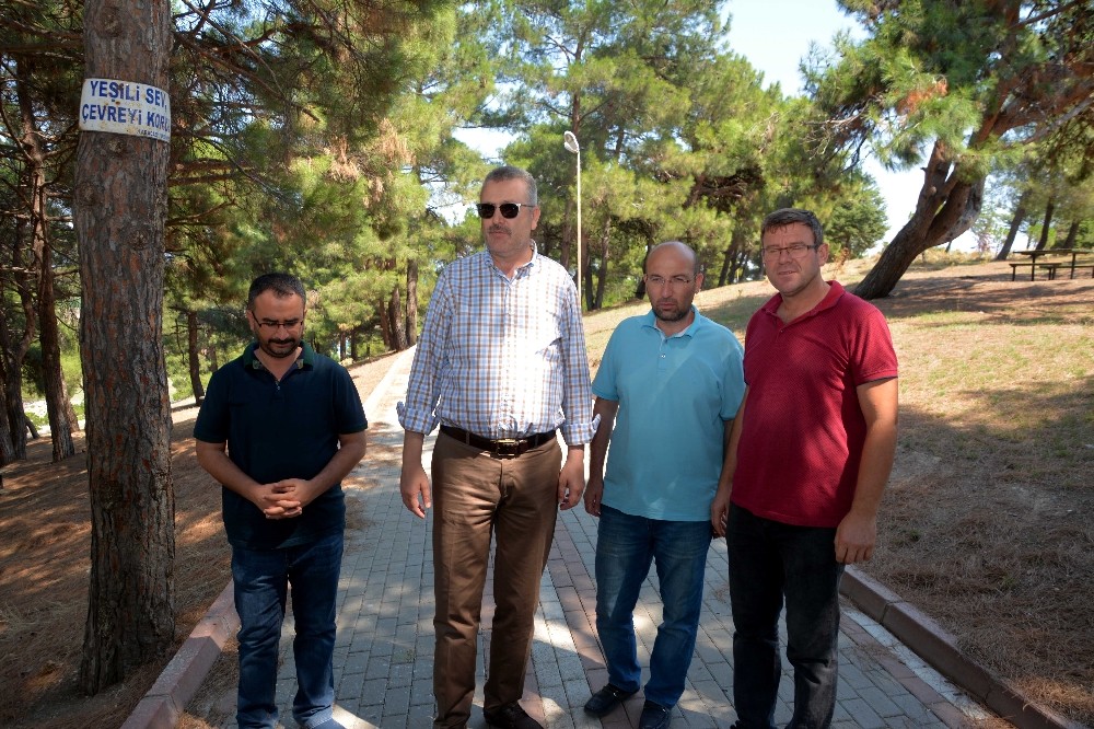 Karacabeye Yeni Mesire Yeri