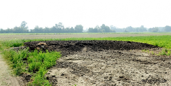 KOKUNUN NEDENi BELLi OLDU