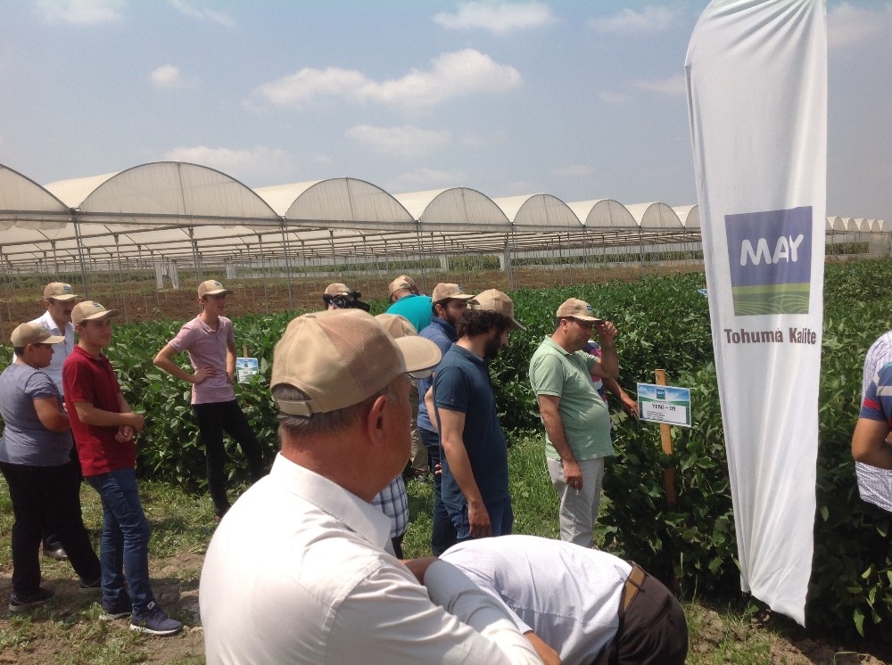 May Tohum Tarım Sektöründe Ar-Geye En Çok Yatırımı Yapan Firma