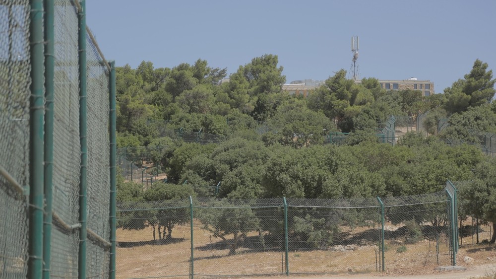 (Özel Haber) Suriyeden Türkiyeye Getirilen Hayvanlar Ürdüne Nakledildi