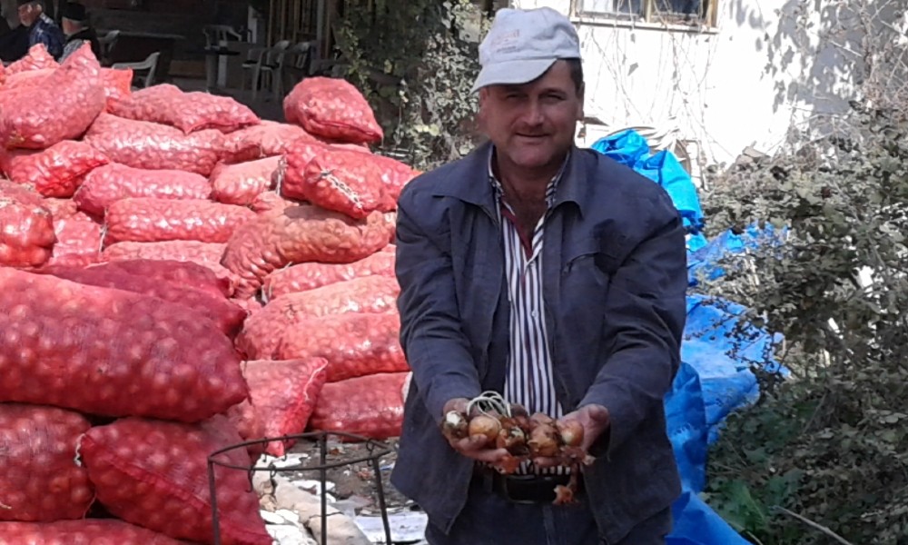 Soğan Yüz Güldürdü