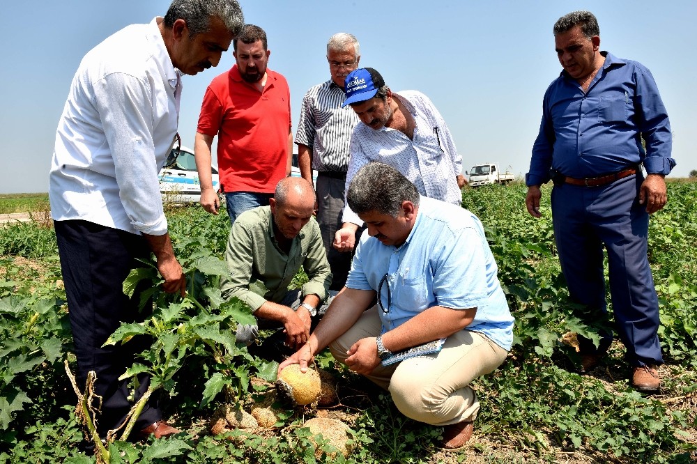 Tarım Komisyonundan Dolu Seferberliği