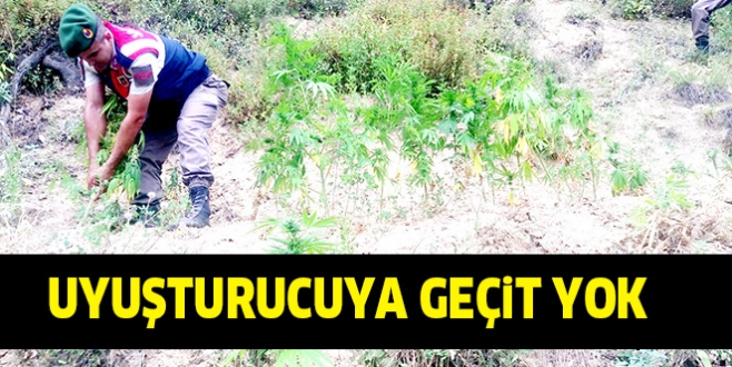 UYUŞTURUCUYA GEÇiT YOK