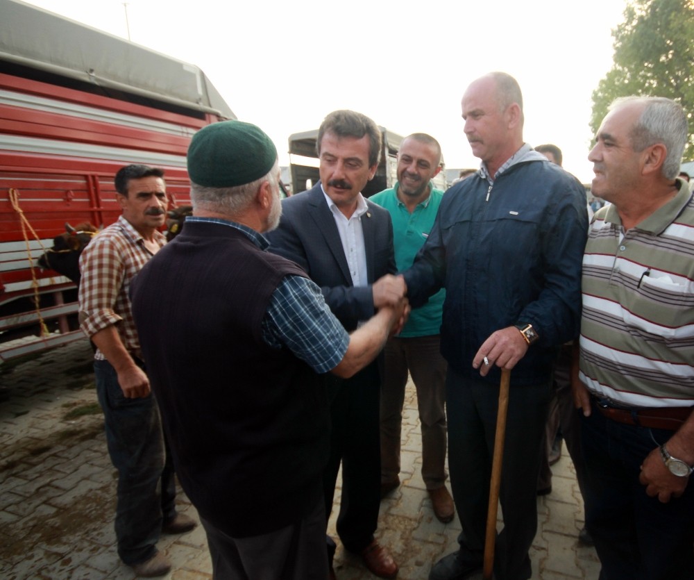 Yenişehir Kurban Bayramına Hazır