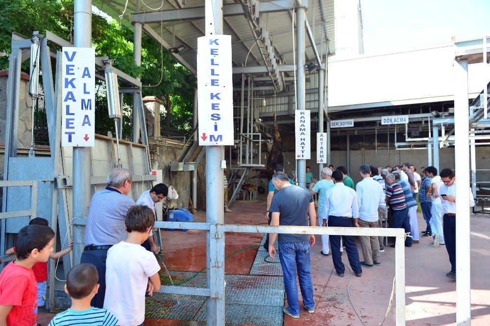 Yıl-Mekten Kurban Kesim Kursu