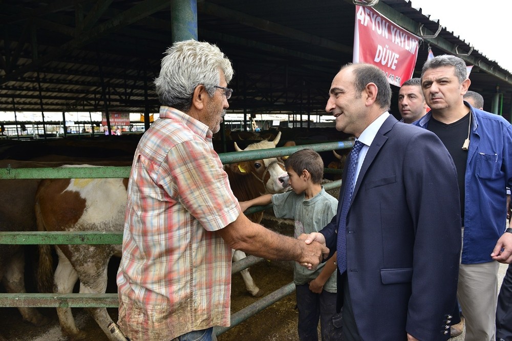 Yıldırım Kurban Bayramına Hazır