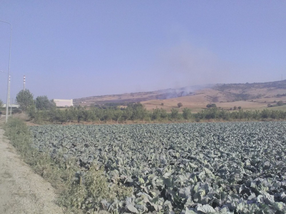 50 Dönüm Orman Yandı, Cam Devi Büyük Tehlike Atlattı