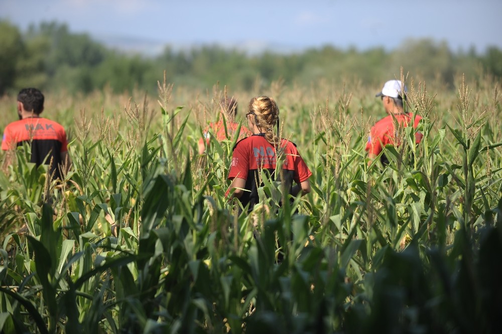 74 Yaşındaki Kayıp Alzheimer Hastası Yaşlı Adamın Cesedi Çobanlar Tarafından Bulundu