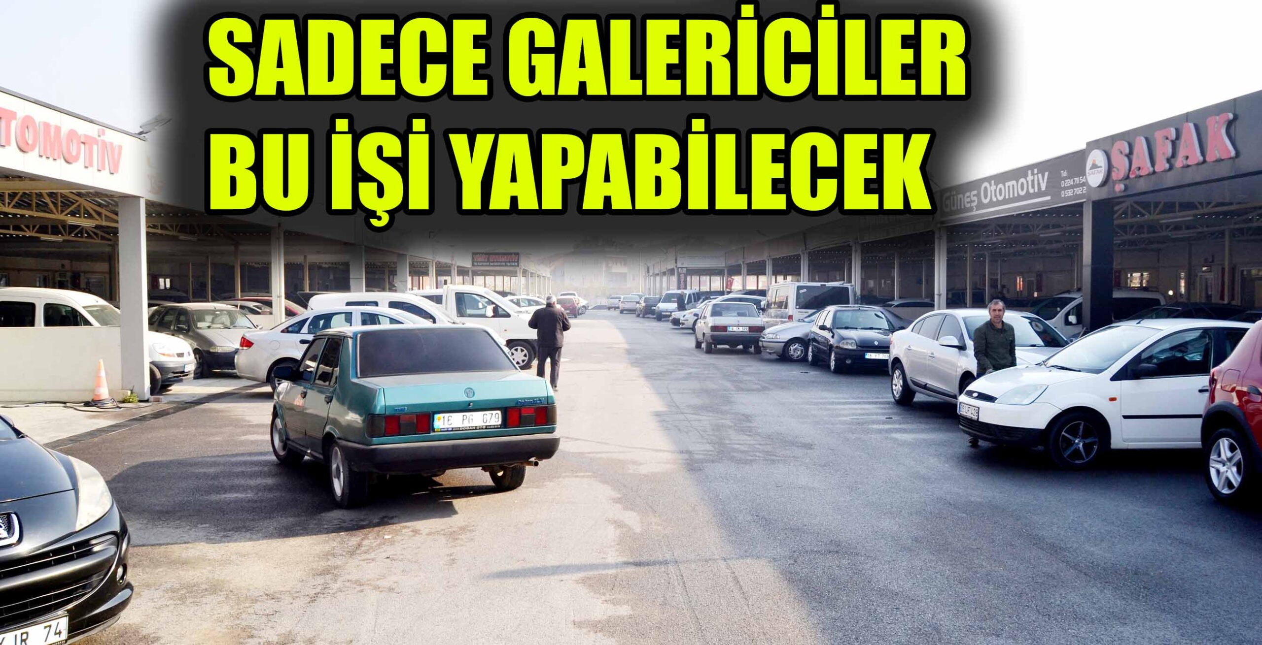 SADECE GALERİCİLER  BU İŞİ YAPABİLECEK