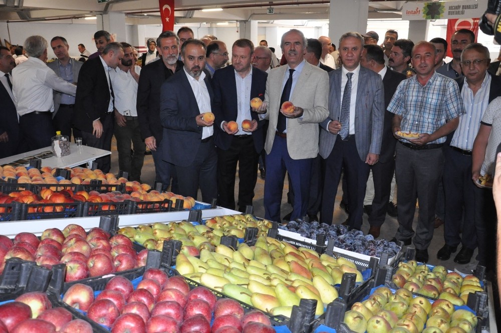 Anıl: Tarımda Reformlara İhtiyacımız Var