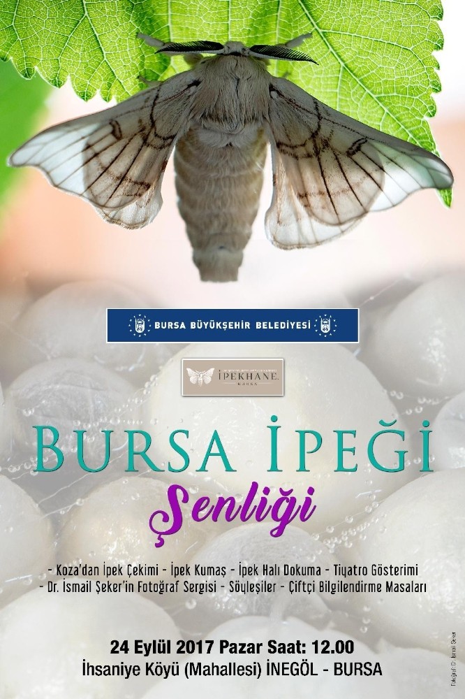 Bursada İpek Şenliği
