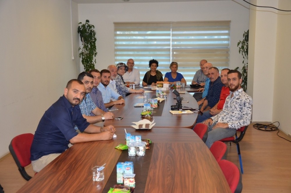 Gemlikte Zeytin Festivali