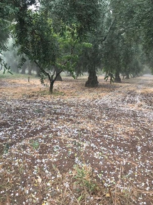 İznike Dolu Yağdı