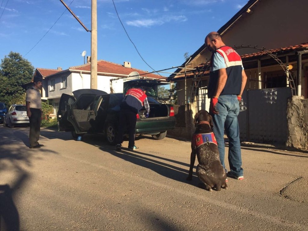 Jandarmadan Köpekli Uyuşturucu Operasyonu