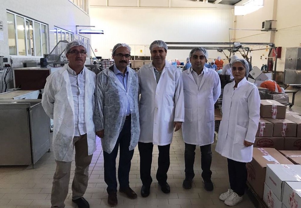 Kestane Tarımına Vekil Desteği