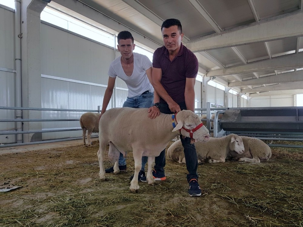 Kocaoğlana Rekor Fiyat