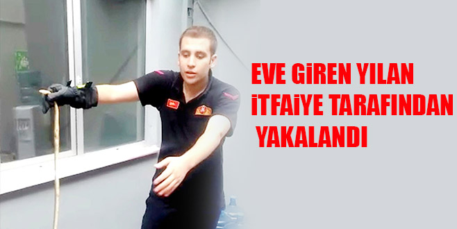 EVE GiREN YILAN iTFAiYE TARAFINDAN YAKALANDI